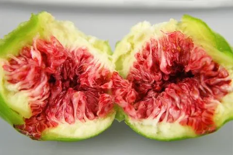 Close up of ripe fig Foto stock