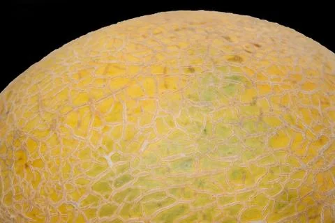 Close up of a ripe fresh melon fruit Stock Photos