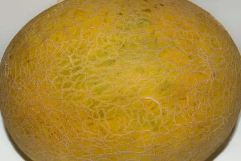 Close up of a ripe fresh melon fruit Stock Photos