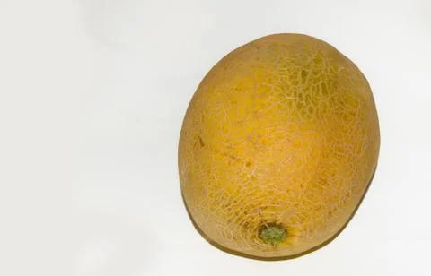 Close up of a ripe fresh melon fruit Stock Photos