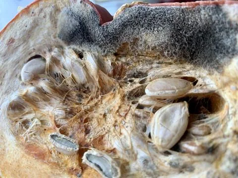 Close-up of a ripe fruit cut in half, revealing its inner texture, seeds, and Stock-Fotos