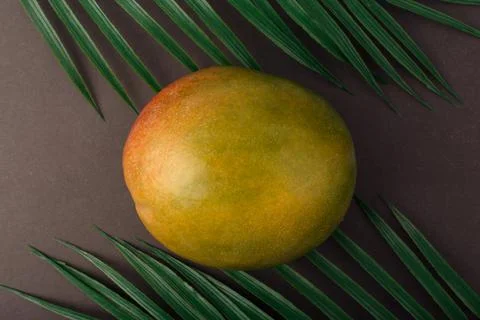Close up of ripe mango on black table with palm leaves Stock Photos