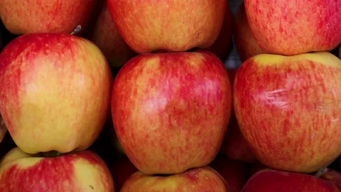 Close up of ripe organic apples Stock Footage 338167282