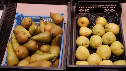 Close-up of ripe pears in boxes in the supermarket. Stock Footage 295843704