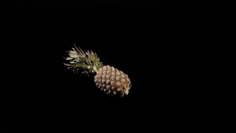 Close up at ripe pineapple flies up and spinning on a black background Stock Footage 152789410