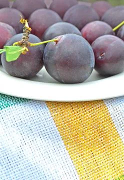 Close-up of ripe plums 스톡 사진