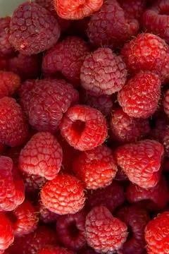 Close up of the ripe raspberry as background. Stock Photos