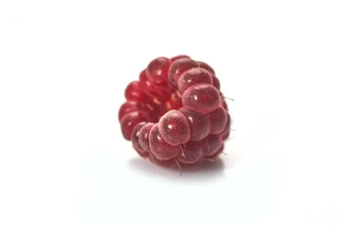 Close up ripe Raspberry on white background Stock Photos