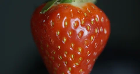 Close Up Of Ripe Red Strawberry Being Held Up To Camera With Dark Background  Stock Footage 114022866