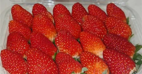 Close Up of Ripe Strawberries in Container 库存照片