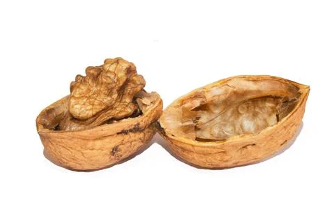 Close-up of ripe walnut, shell split open Foto stock