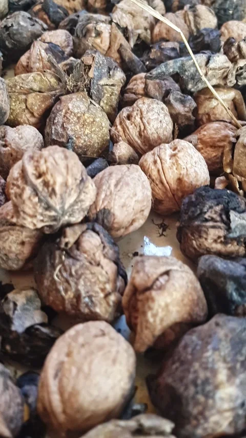 Close-up of ripe walnuts, some shelled and others still in their natural husks Stock Footage 311340474