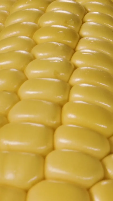 Close-up of ripe yellow corn kernels filling frame Stock Footage 336443012
