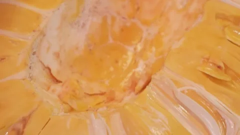Close-up of Ripe Yellow Jackfruit Bulbs and Fibers, Top View Stock Footage 345635931