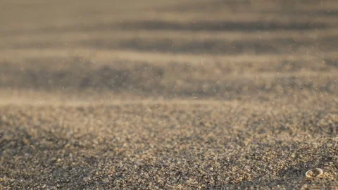 Close-Up of Rippled Sand Surface with Small Shell Stock Footage 347124311