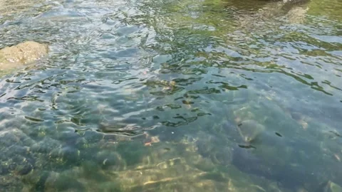 Close up of the ripples of a clear creek Stock Footage 323149593