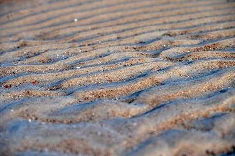 Close-up of ripples in the sand of a beach, selective focus. Travel backgroun Foto stock