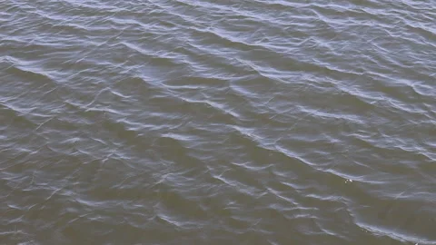 Close up of rippling water Stock Footage 302587160