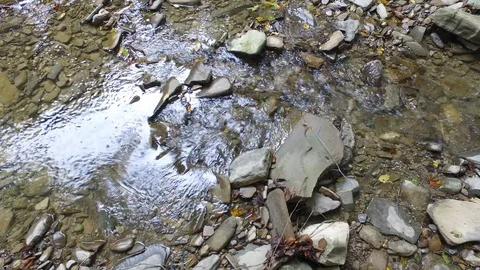 Close up river background Stock Footage 116597867