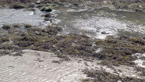 CLose up of the River Esk Stock-Footage 218432462