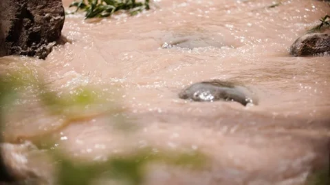 Close-up of river flow-1 Stock Footage 292593104