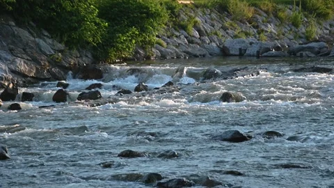 Close up river flowing downstream. Rocks in water Stock-Footage 135048237