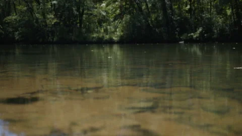 Close up river flowing Video stock 210504907