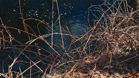 Close up on a river flowing Stock-Footage 331656754