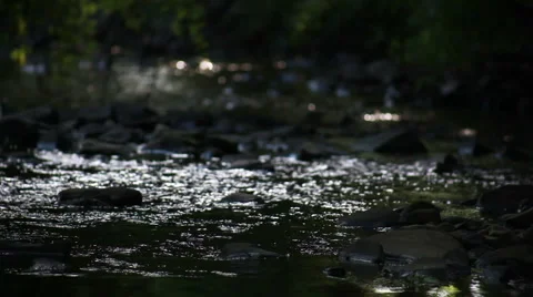 CLOSE-UP OF RIVER FLOWING OVER ROCKS Video stock 41456642