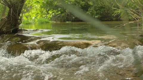 Close-up of a river flowing over rocks surrounded by forest, in Bosnia Stock Footage 241631876
