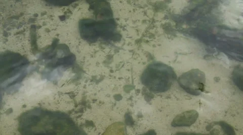 Close up of river Stock Footage 39643479