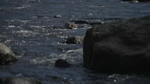 Close river Stockbeeldmateriaal 171341379