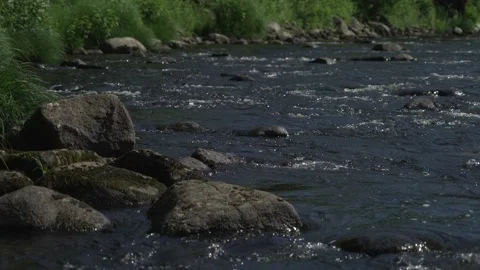 Close river Stockbeeldmateriaal 171341614