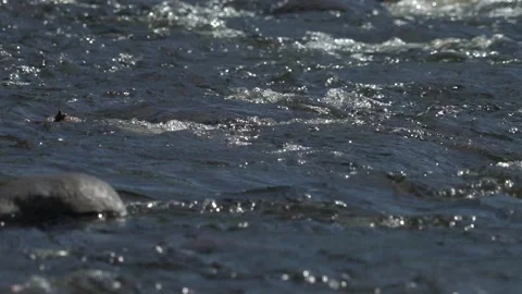 Close up on river Stockbeeldmateriaal 171341765