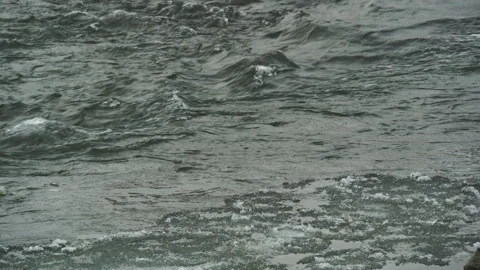 Close on river ice grabbed by river current Stock Footage 327688703