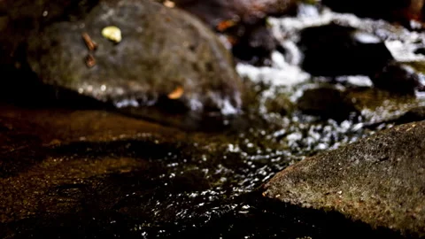 Close up river  next Stock Footage 279914445