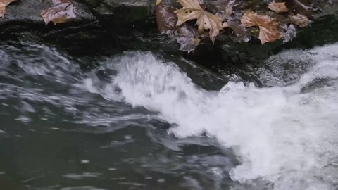 Close up of a river rapids running with fallen leaves on the banks Video stock 145681856