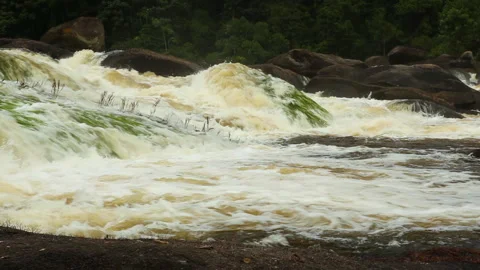 Close-up of river rapids in Surinamese jungle Vídeo Stock 154046511