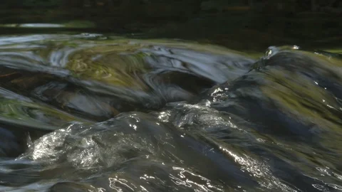 Close up of a river rock Stock Footage 124975327