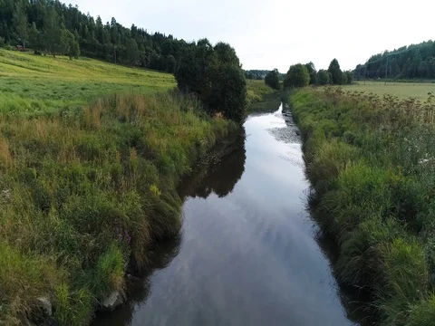 Close up river scene. Camera follows river farm fields asides and above water Stock Footage 79341038