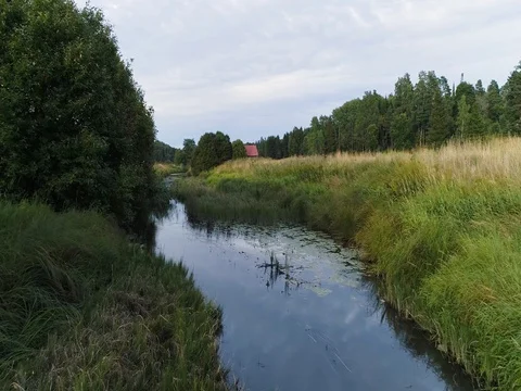 Close up river scene. Camera follows river farm fields asides and above water Video stock 79341684
