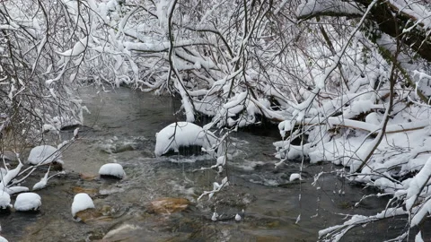 Close-up of a river with snow in the trees Stock Footage 147096960