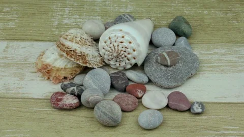 Close up river stones and shells Stock Footage 81114005