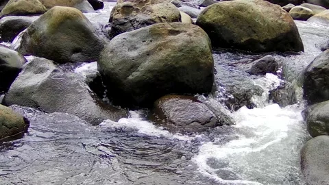 Close up of river stones Stock Footage 167798277