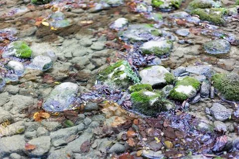 A close-up river with stones Stock Photos