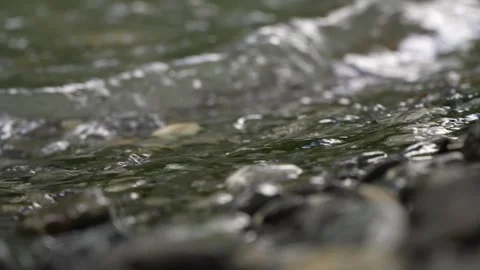 Close-Up of River Water Flowing Over Stones in Mountain Stream 스톡 동영상 314192795