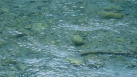 Close-Up of River Water Flowing Over Sandy and Rocky Riverbed Stock Footage 320221433