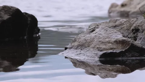 Close-up of river water flowing through stones Stock Footage 319744101