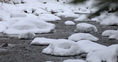 Close Up of River Water in the Forest Видео 103816924