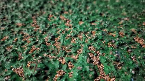 Close up of Road asphalt background. Stock Photos